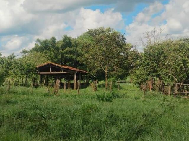 Sítio e chácara venda em Frutal, Região Geográfica Intermediária de Uberaba
