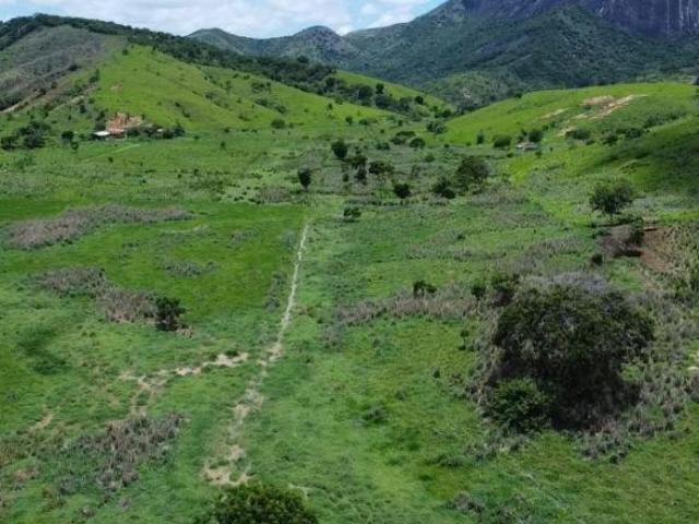 Sítio e chácara venda em Região Geográfica Imediata de Governador Valadares, Galiléia