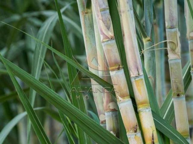 Sítio e chácara venda em Gavião Peixoto