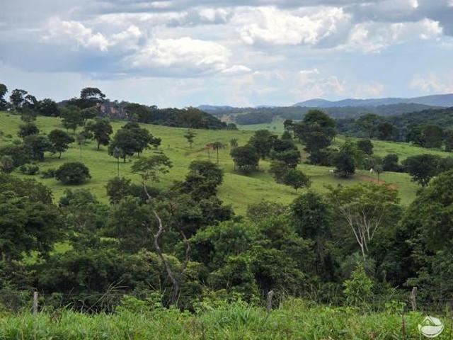 Sítio e chácara venda em Região Geográfica Imediata de Ceres - Rialma - Goianésia, Goianésia