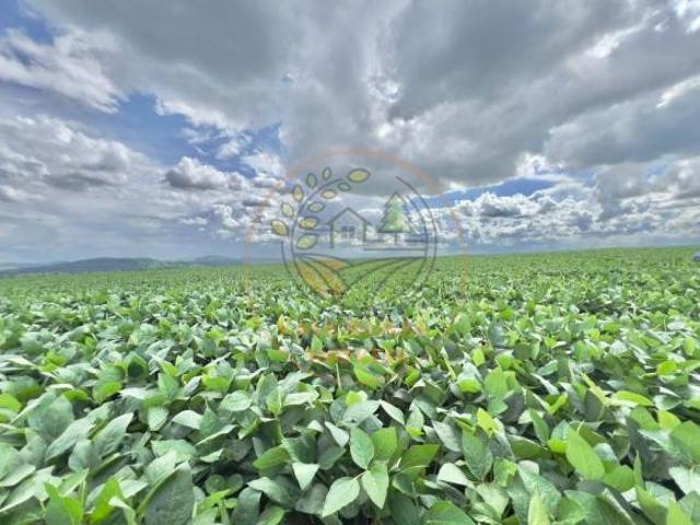 Sítio e chácara venda em Goiás, Região Geográfica Intermediária de Goiânia