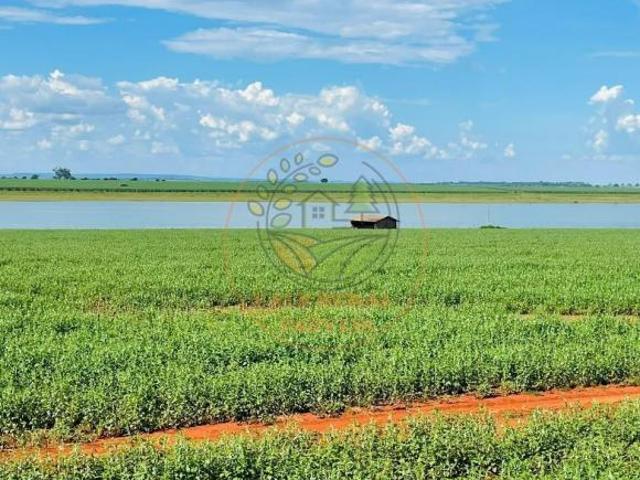 Sítio e chácara venda em Goiás, Região Geográfica Intermediária de Goiânia