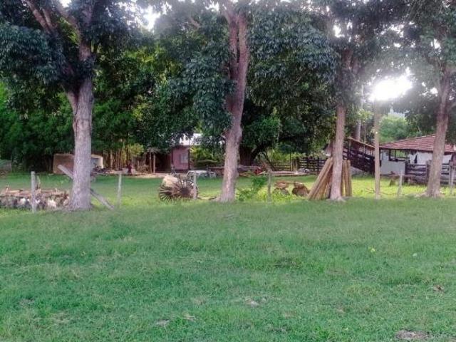 Sítio e chácara venda em Região Geográfica Imediata de Posse-Campos Belos, Posse