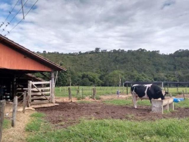 Sítio e chácara venda em Região Geográfica Imediata de Goiás - Itapuranga, Goiás