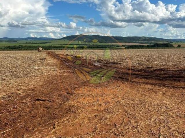 Sítio e chácara venda em Goiás, Região Geográfica Intermediária de Goiânia