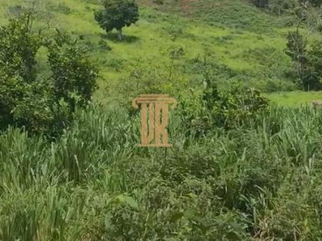 Sítio e chácara venda em Governador Valadares