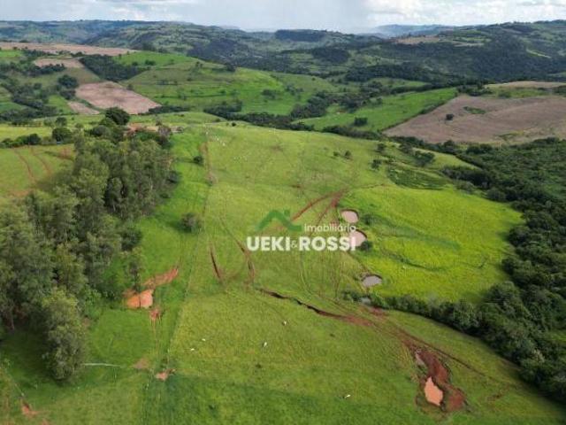 Sítio e chácara venda em Grandes Rios, Região Geográfica Intermediária de Londrina