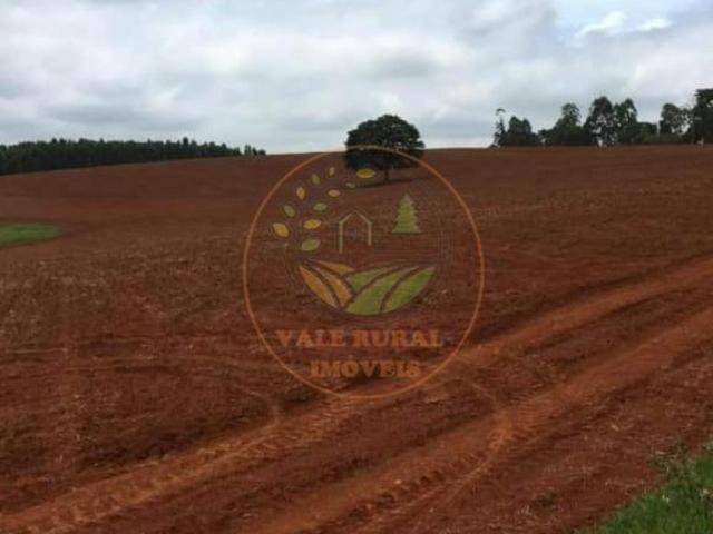 Sítio e chácara venda em Guapé, Região Geográfica Intermediária de Varginha