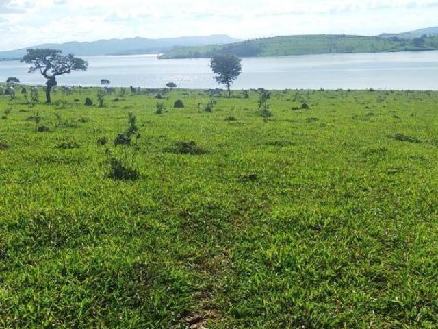 Sítio e chácara venda em Região Geográfica Imediata de Passos, Guapé
