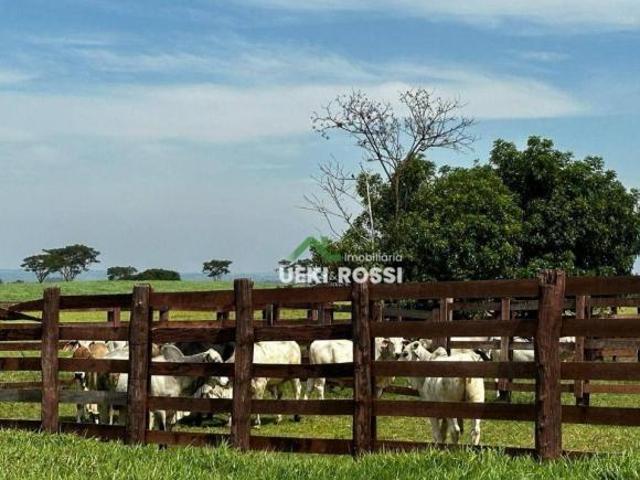 Sítio e chácara venda em Região Geográfica Imediata de Londrina, Guaraci