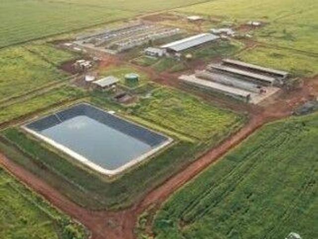 Sítio e chácara venda em Região Geográfica Imediata de Curitiba, Região Metropolitana de Curitiba