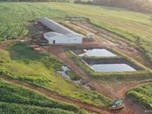 Sítio e chácara venda em Região Geográfica Imediata de Curitiba, Região Metropolitana de Curitiba