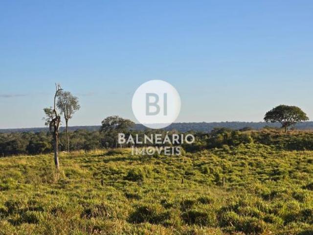 Sítio e chácara venda em Região Geográfica Imediata de Peixoto de Azevedo - Guarantã do Norte, Guarantã do Norte