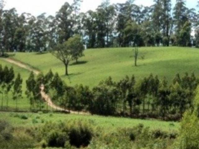 Sítio e chácara venda em Região Imediata de Guaratinguetá, Região Metropolitana do Vale do Paraíba e Litoral Norte