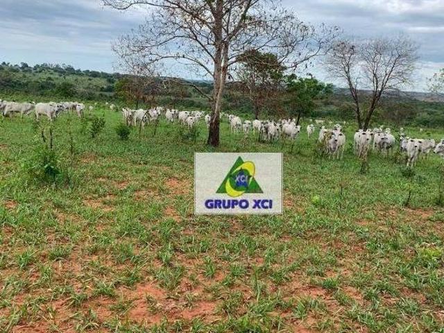 Sítio e chácara venda em Região Geográfica Imediata de Rondonópolis, Guiratinga