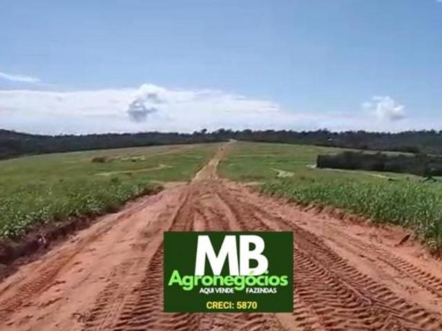 Sítio e chácara venda em Região Geográfica Imediata de Rondonópolis, Guiratinga