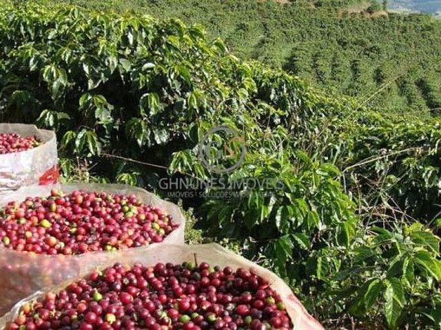 Sítio e chácara venda em São Benedito, Ibiá