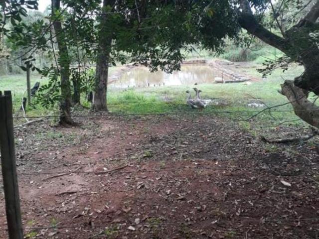 Sítio e chácara venda em Região Geográfica Imediata de Belo Horizonte, Região Metropolitana de Belo Horizonte