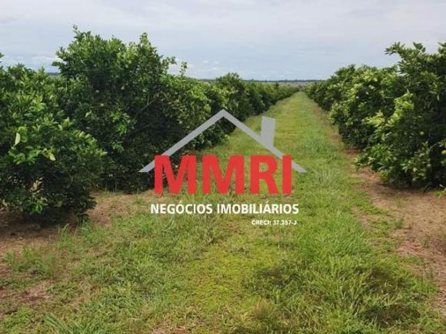 Sítio e chácara venda em Região Imediata de Fernandópolis, Indiaporã