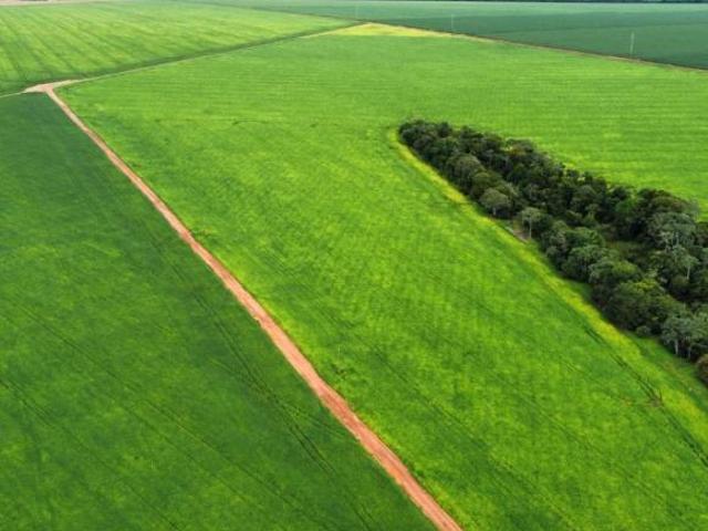 Sítio e chácara venda em Região Geográfica Imediata de Sorriso, Ipiranga do Norte