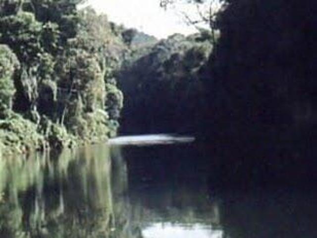 Sítio e chácara venda em Iporanga