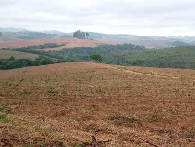 Sítio e chácara venda em Região Geográfica Imediata de Pouso Alegre, Ipuiúna