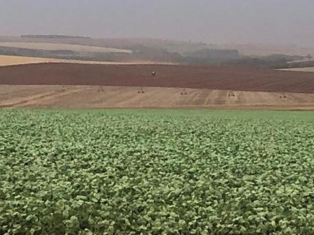 Sítio e chácara venda em Região Imediata de Itapeva, Itaberá