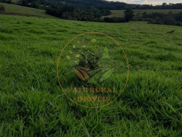 Sítio e chácara venda em Região Geográfica Imediata de Inhumas - Itaberaí - Anicuns, Itaberaí