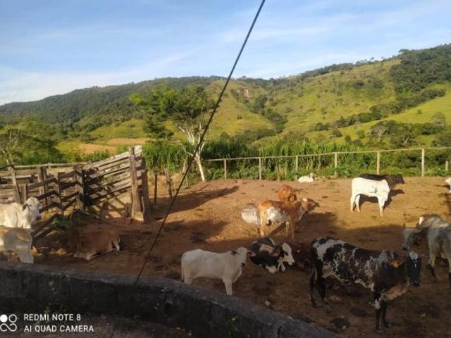 Sítio e chácara venda em Itaguara, Região Geográfica Intermediária de Divinópolis
