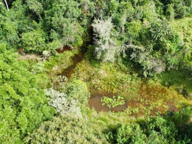 Sítio e chácara venda em Itaguara, Região Geográfica Intermediária de Divinópolis