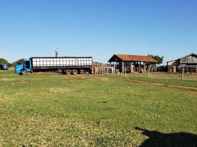 Sítio e chácara venda em Região Imediata de Catanduva, Itajobi