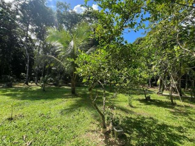 Sítio e chácara venda em Região Imediata de Santos, Região Metropolitana da Baixada Santista