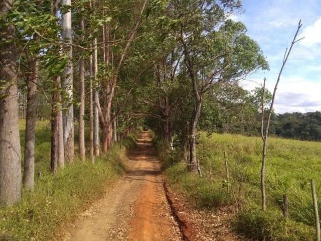 Sítio e chácara venda em Região Geográfica Imediata de Divinópolis, Itapecerica