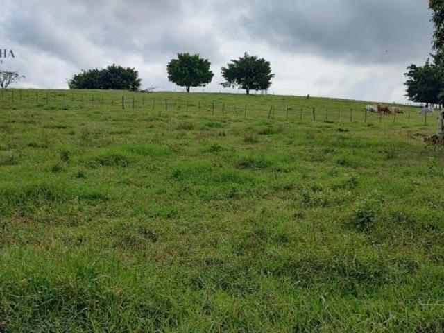 Sítio e chácara venda em Região Imediata de Itapetininga, Região Metropolitana de Sorocaba
