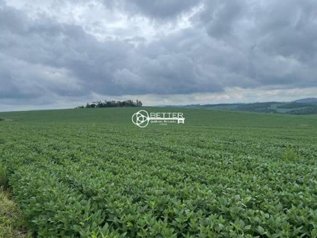 Sítio e chácara venda em Região Imediata de Itapeva, Itaporanga