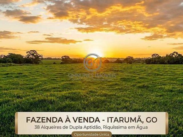 Sítio e chácara venda em Itarumã, Região Geográfica Intermediária de Rio Verde