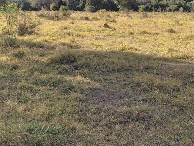 Sítio e chácara venda em Centro, Itaúna