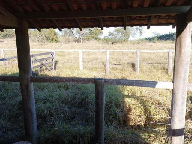 Sítio e chácara venda em Vila Garbi, Itirapina
