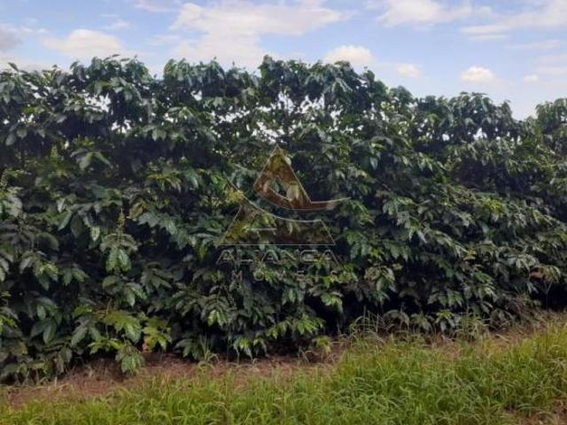 Sítio e chácara venda em Região Imediata de Franca, Itirapuã