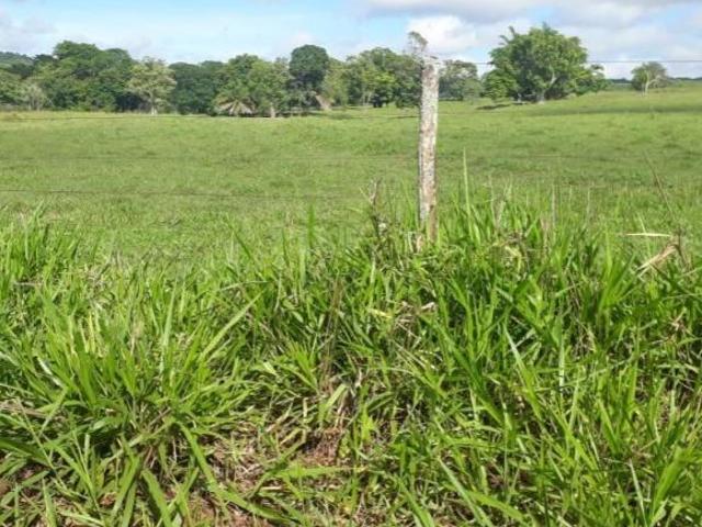 Sítio e chácara venda em Região Geográfica Imediata de Iturama, Iturama