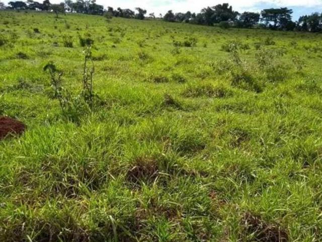 Sítio e chácara venda em Região Geográfica Imediata de Gurupi, Formoso do Araguaia