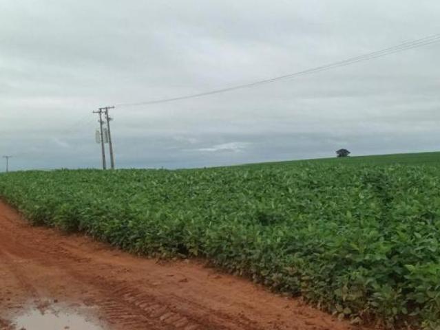 Sítio e chácara venda em Região Geográfica Imediata de Umuarama, Região Metropolitana de Umuarama