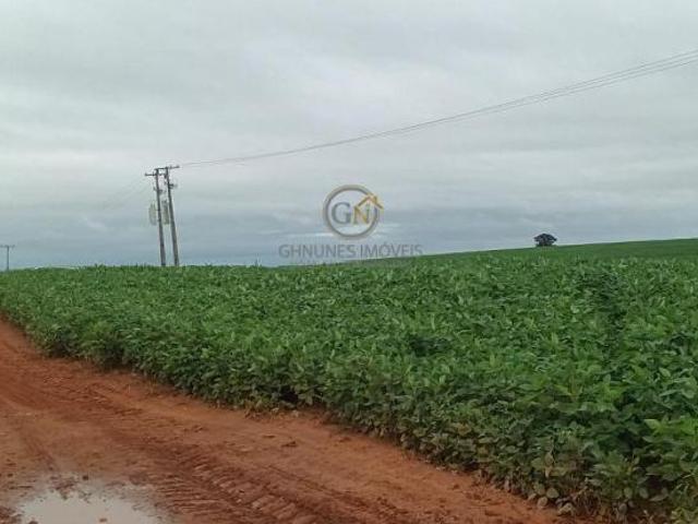 Sítio e chácara venda em Ivaté, Região Geográfica Intermediária de Maringá