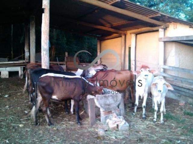 Sítio e chácara venda em Região Geográfica Imediata de Goiás - Itapuranga, Nova Crixás