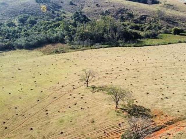 Sítio e chácara venda em Região Geográfica Imediata de Santa Cruz, São Bento do Trairi