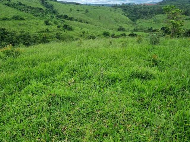 Sítio e chácara venda em Região Geográfica Imediata de Pouso Alegre, Jacutinga