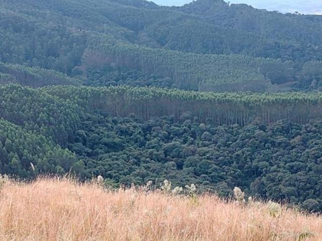 Sítio e chácara venda em Região Geográfica Imediata de Belo Horizonte, Região Metropolitana de Belo Horizonte