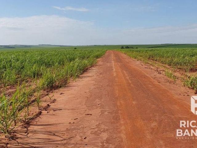 Sítio e chácara venda em Região Geográfica Imediata de Londrina, Jaguapita