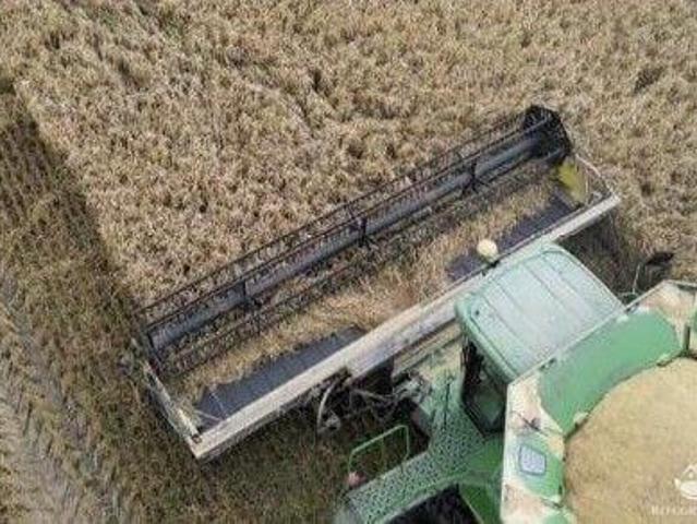 Sítio e chácara venda em Região Geográfica Imediata de Pelotas, Jaguarão