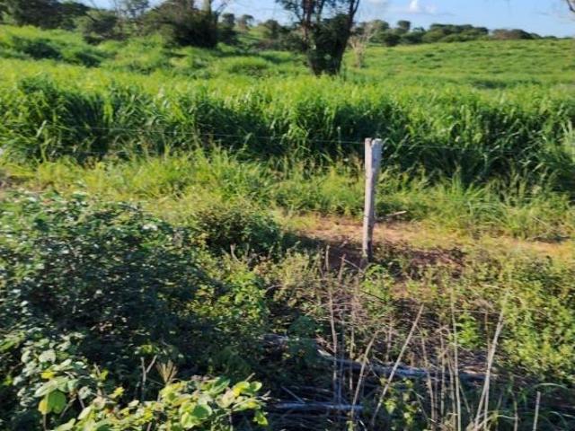 Sítio e chácara venda em Região Geográfica Imediata de Janaúba, Jaíba